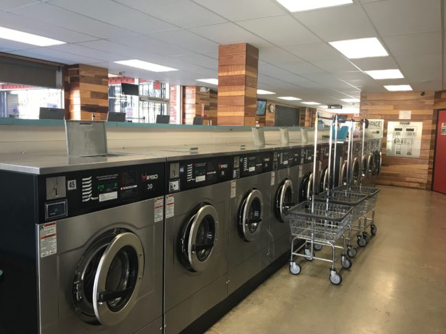 ipso, laundry business